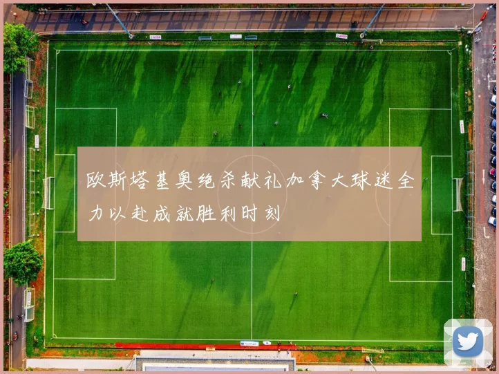 欧斯塔基奥绝杀献礼加拿大球迷全力以赴成就胜利时刻