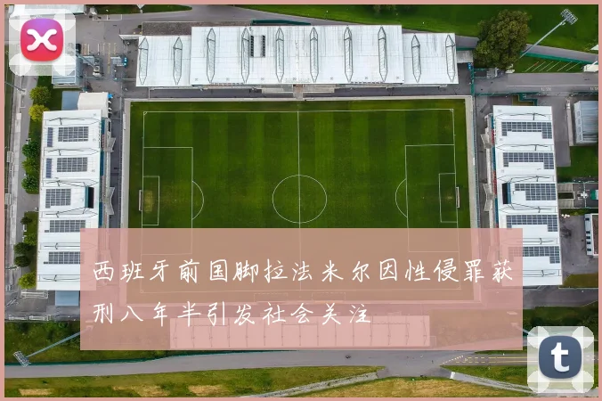 西班牙前国脚拉法米尔因性侵罪获刑八年半引发社会关注